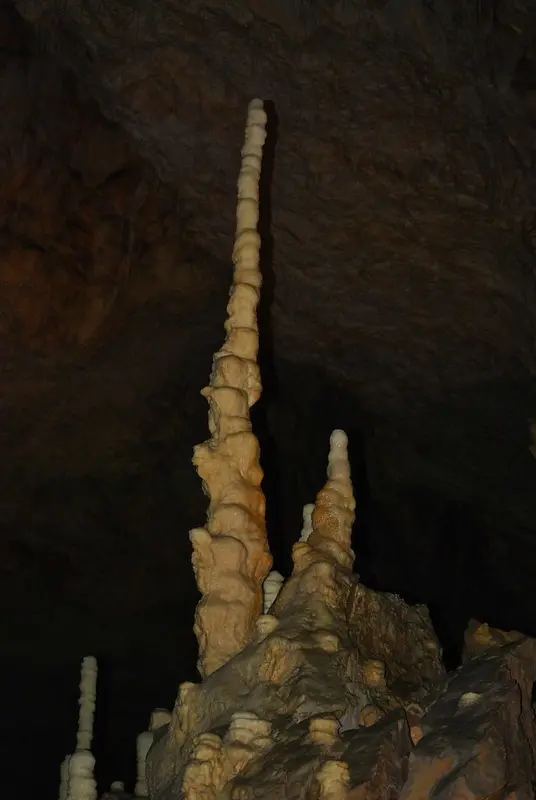 Bears' Cave Stalagmites 2