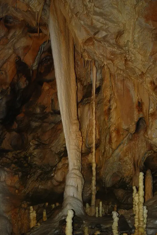 Bears' Cave Stalagmites 3