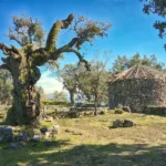 reconstructed castro at Citânia de Briteiros